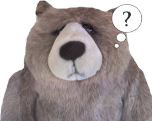 Questioning Big Rankin Bear