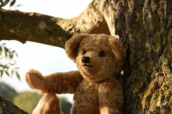 Edward Bear as Portrayed in 2018 Film Christopher Robin.jpeg